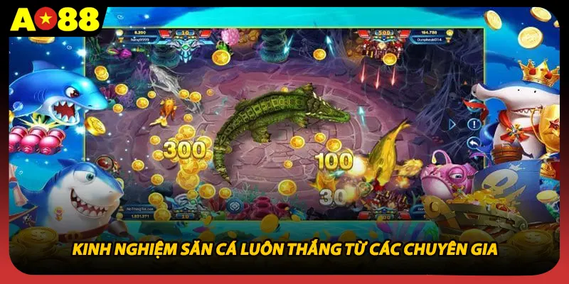 Kinh nghiệm săn cá luôn thắng từ các chuyên gia